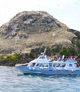Découvrez les 7 îles de Perros-Guirec en navette - Départ depuis Trestraou ou Port-Blanc